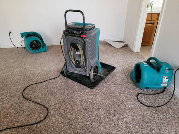 Best Water damage restoration company  in Cortland West, NY