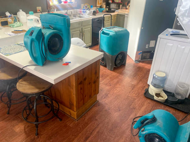  Cortland West, NY Water damage restoration Pros