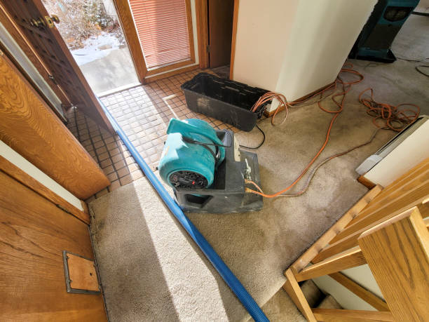 Best Water damage restoration near me  in Cortland West, NY