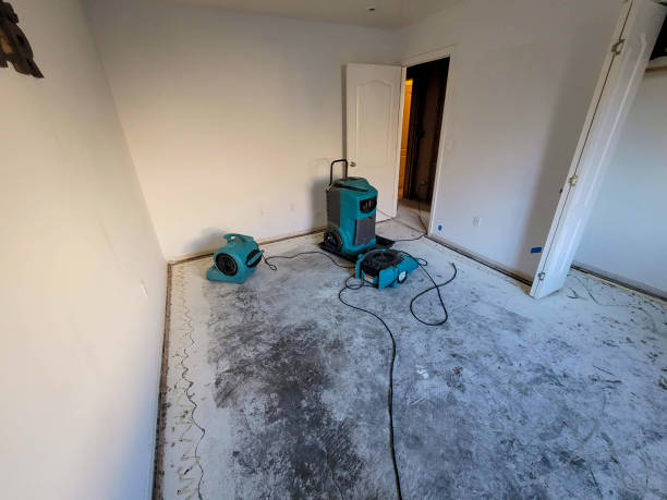 Carpet water damage restoration in NY