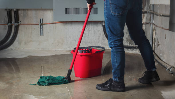  Cortland West, NY Water damage restoration Pros