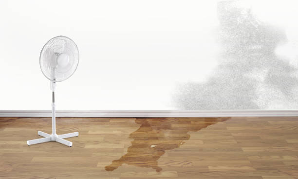 Best Water damage restoration near me  in Cortland West, NY