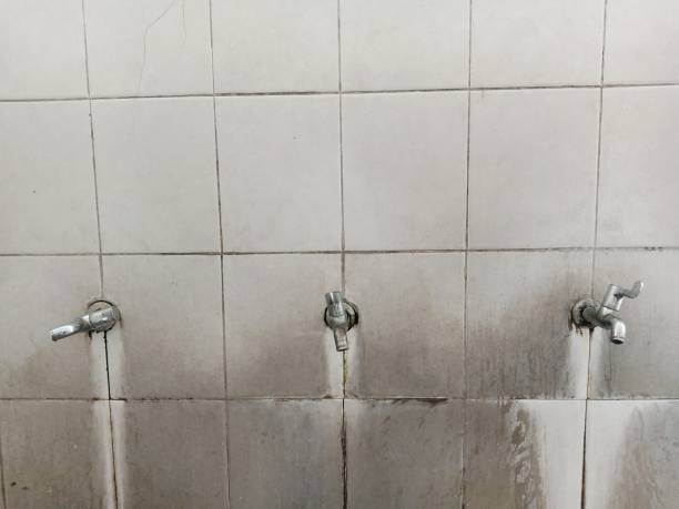 Best Ceiling water damage repair  in Cortland West, NY