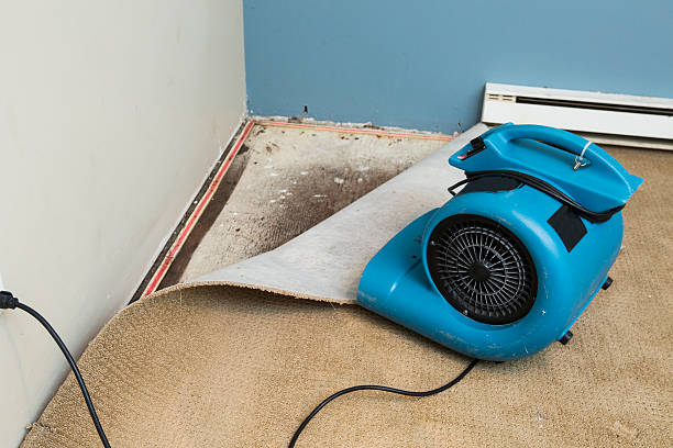 Best 24/7 water damage repair  in Cortland West, NY